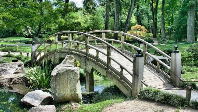 garden with bridge