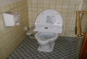 excellent toilet